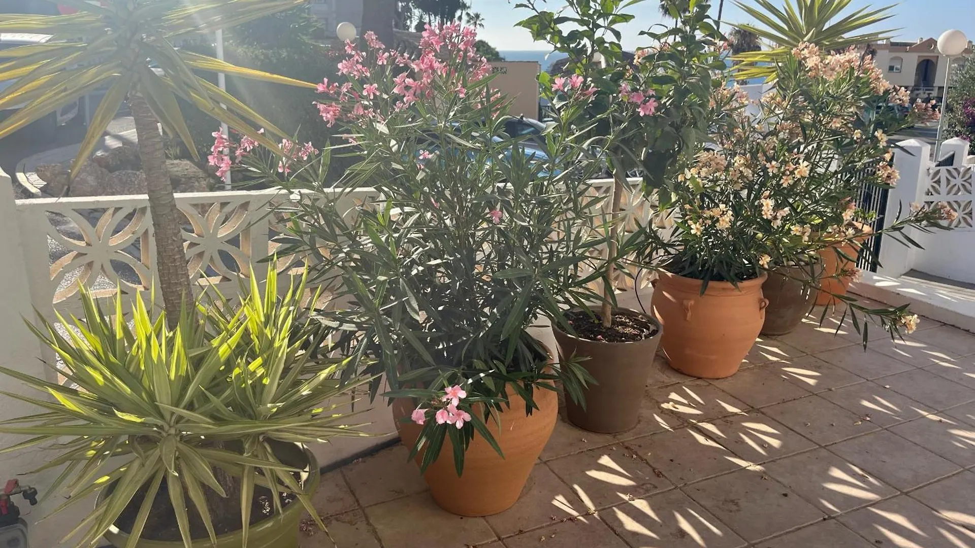 Wyndham Resort 4 Bed House El Faro 0*,  Spain
